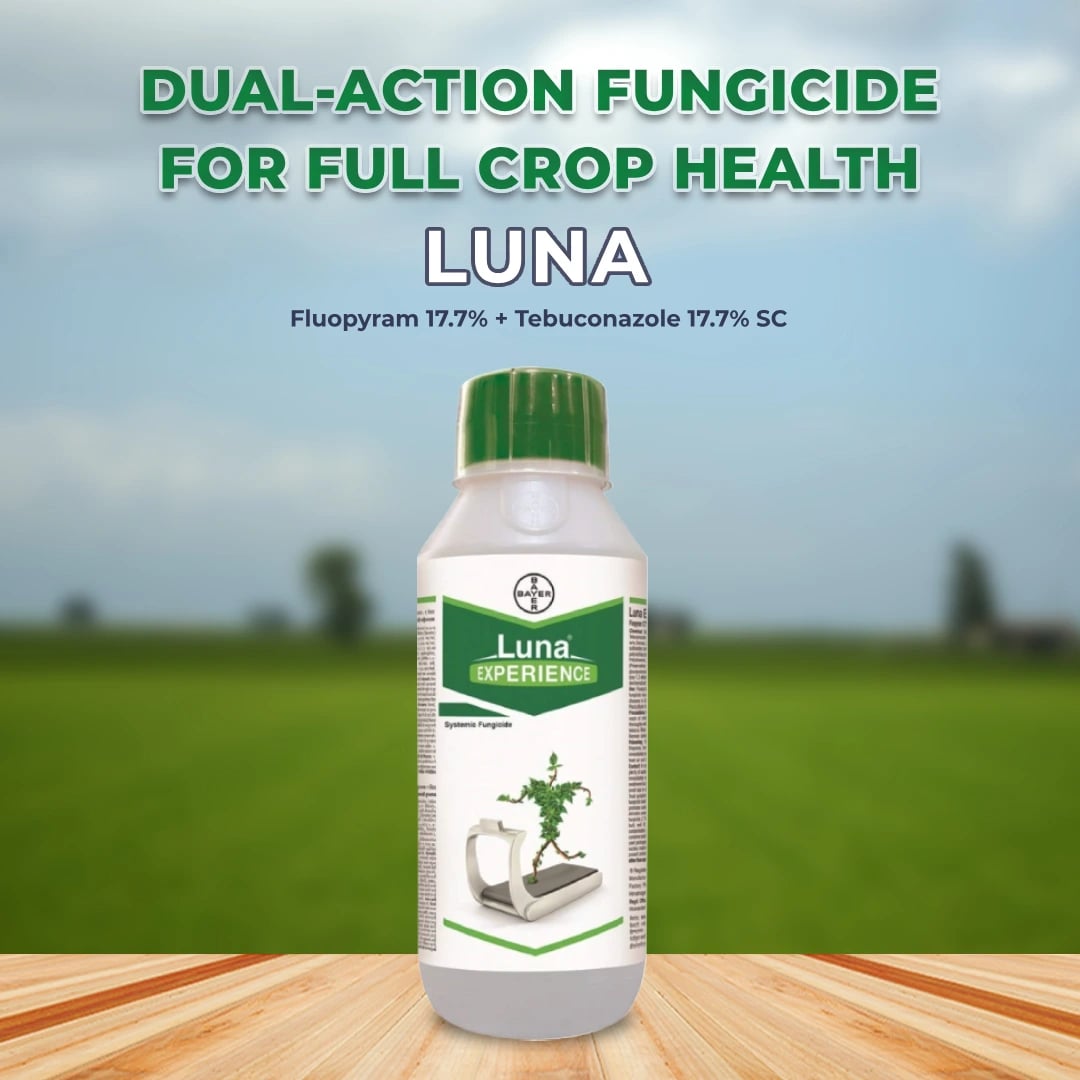 Bayer Luna Experience Fungicide