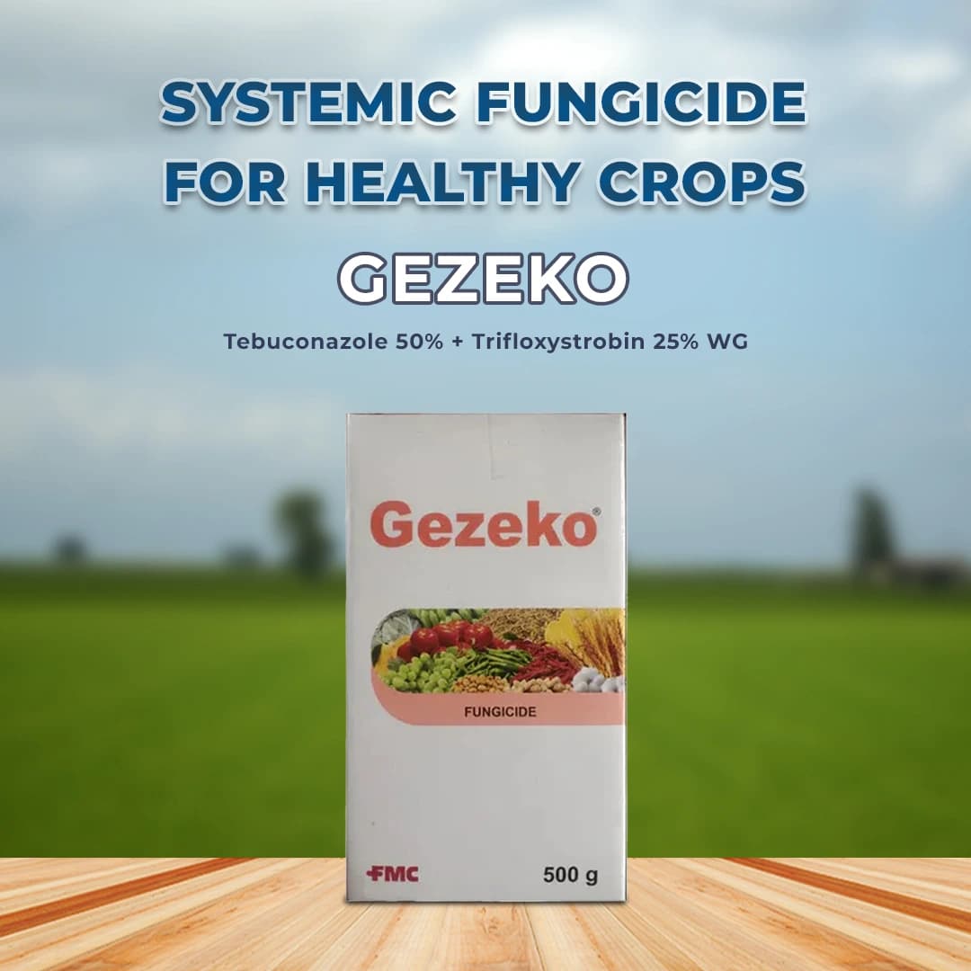 FMC Gezeko Tebuconazole 50% + Trifloxystrobin 25% WG. Broad Spectrum Systemic Fungicide - Image 2