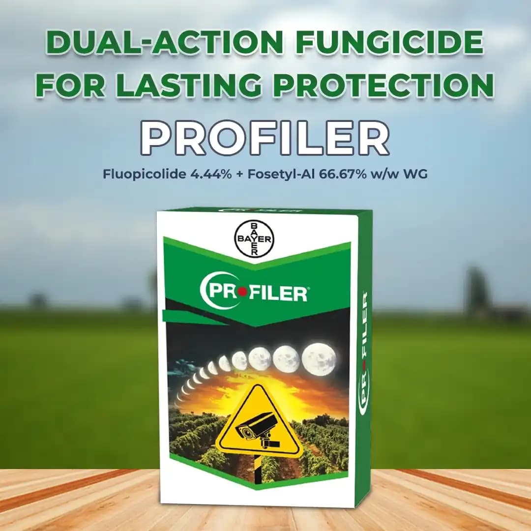 Bayer Profiler Fluopicolide 4.44% + Fosetyl-Al 66.67% ww WG Long Duration Control And Extremely Fast Action On Downy Mildew Fungus - Image 2