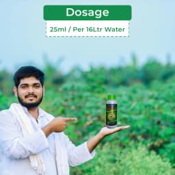 Uttam Lexon Azoxystrobin 11% + Tebuconazole 18.3% SC. Systemic and Contact Fungicides. 5