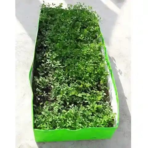 GARDECO 360 GSM HDPE UV Treated Heavy Duty Rectangle Type Grow Bags for Vegetable, Flower Plants - Image 3