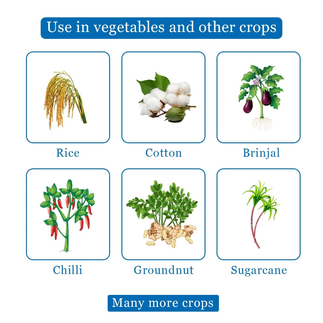 Katyayani Fantasy Fipronil 5% SC Insecticide Liquid for Plants and Home Garden - Image 4