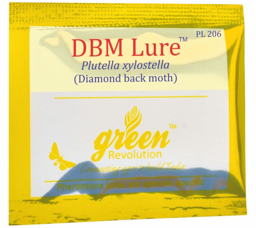 Delta Pheromone Trap with DBM Pheromone Lure for controlling Diamondback Moth (Plutella xylostella) - Image 2