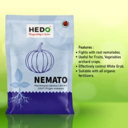 HEDO Nemato (Paecilomyces Lilacinus 1.0% WP) Bio Pesticide, Effective Against White Grubs And Other Harmful Soil Pathogens 7