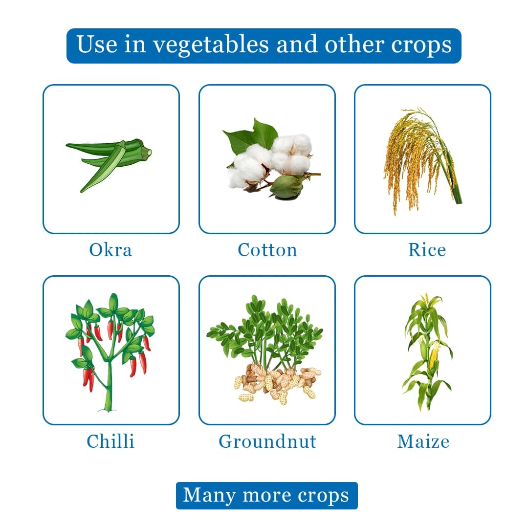 JU Decigen Chlorantraniliprole 18.50% SC Insecticide, Long-Lasting Insect Control In Crops - Image 4