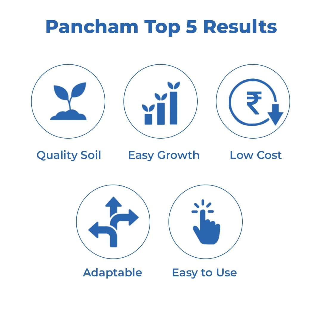 Dr. Bacto\'s Pancham Gold Granules, Formulation of Arbuscular Mycorrhiza, Increase the Plant Growth and Yield and Enrich the Soil Condition - Image 3