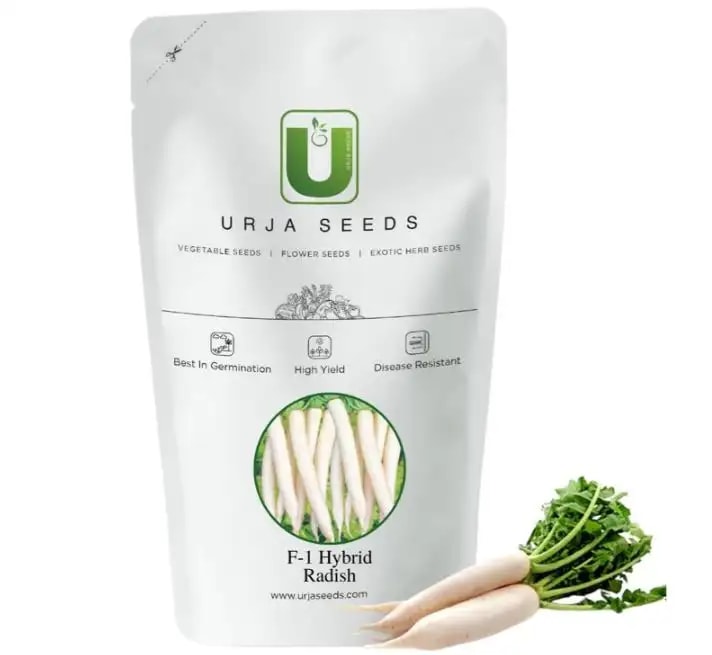 Urja Chetki Long Radish Seeds, Cylindrical Variety, Excellent Germination Quality