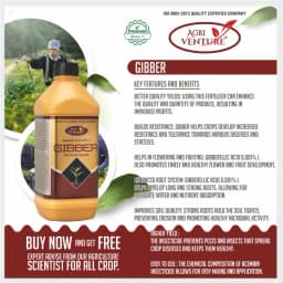 Agriventure Gibber (Gibberellic Acid 0.001% SL) PGR - Plant Growth Regulator, Best For All Crops 4