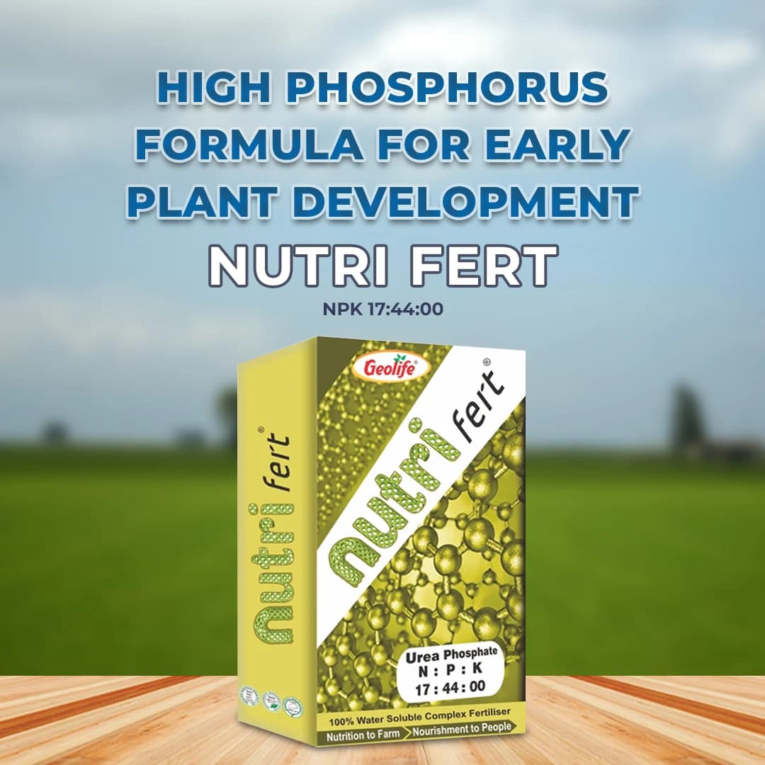 Geolife Nutri Fert Phosporus Nitrate NPK 17:44:00 Water Soluble Fertilizer, Suitable For All Crops - Image 2