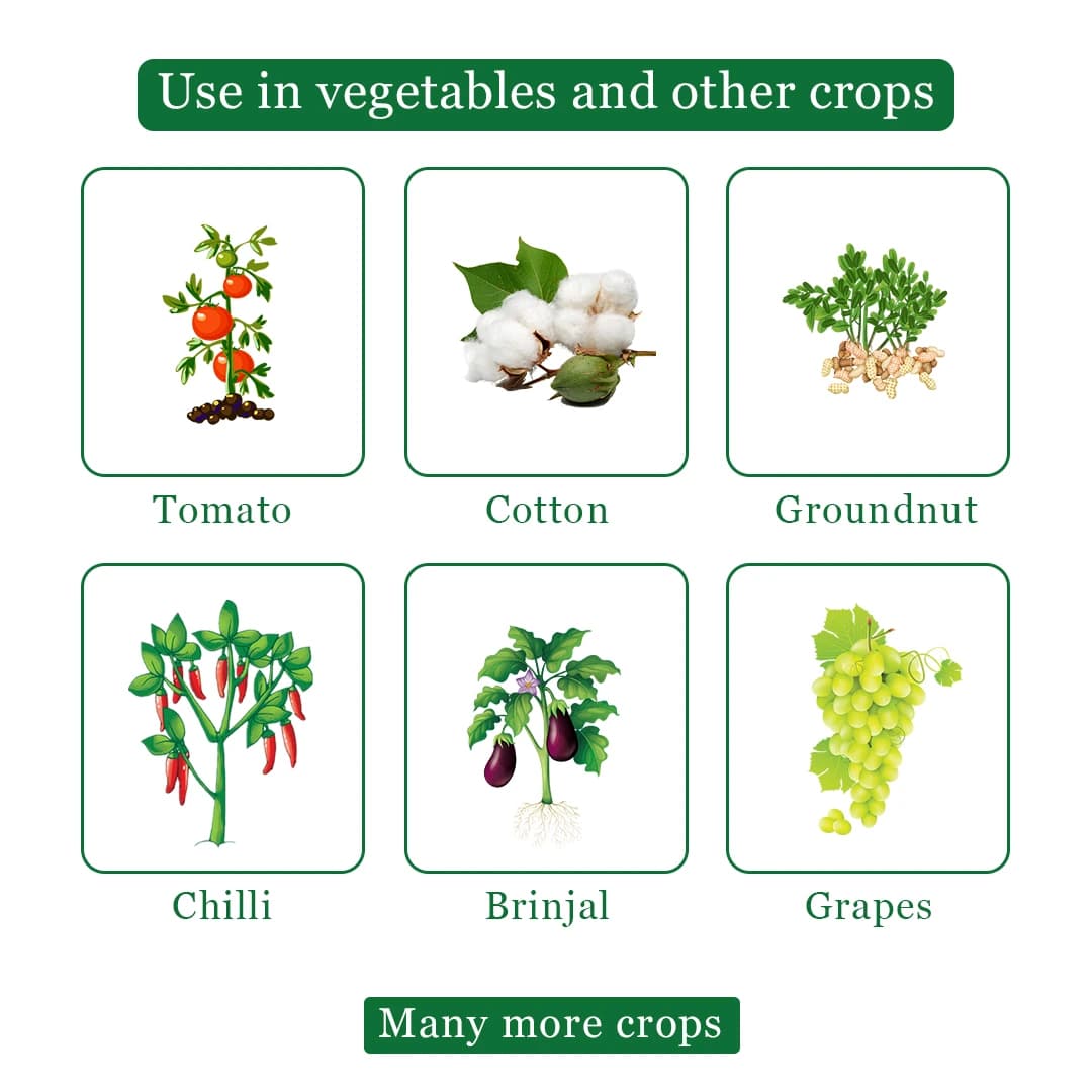 एक्साइलॉन एक्सिप्राइड 20 एसिटामिप्रिड 20% एसपी कीटनाशक, रस चूसक कीट नियंत्रण के लिए प्रभावी - Image 4