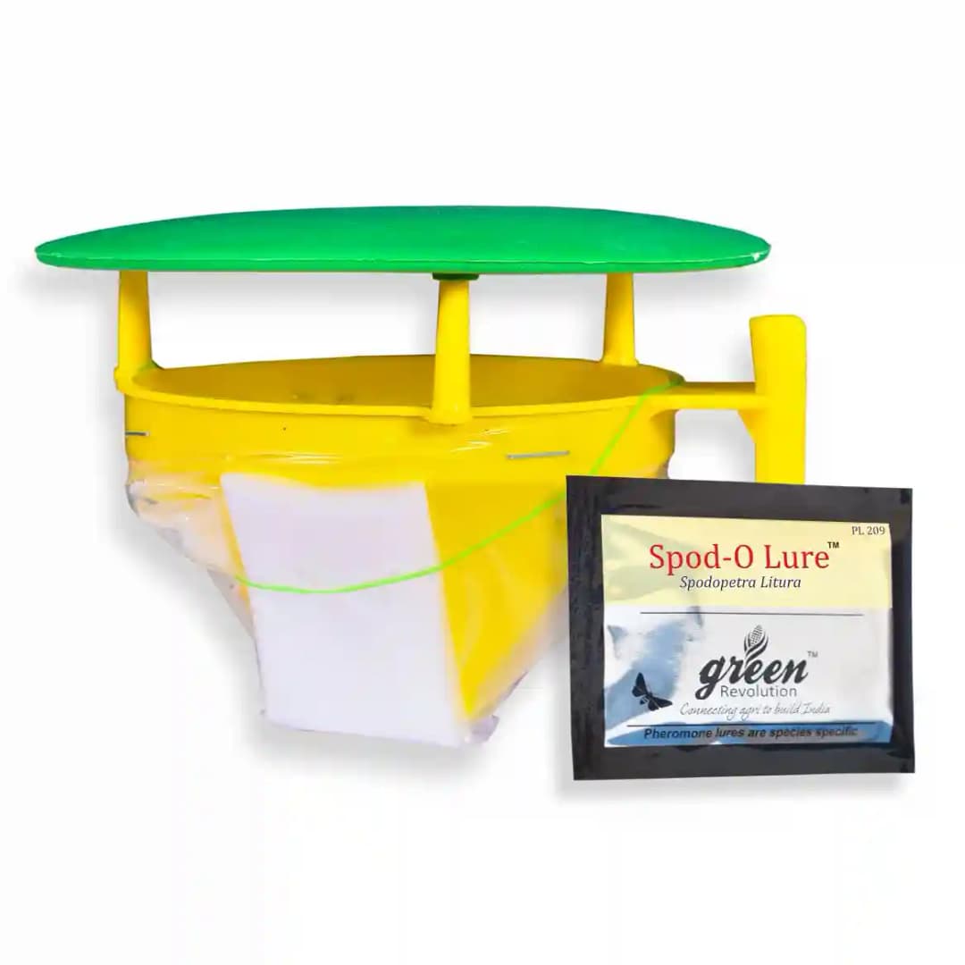 Funnel Trap with Spodo O Lure (Spodoptera Litura Pheromone) For Tobacco, Cotton, Red gram, Tomato and Chilli. - Image 8