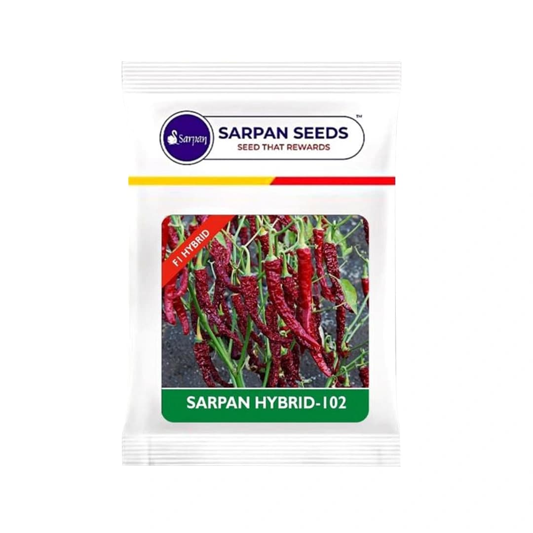 SARPAN SEEDS Sarpan Hybrid -102 Byadagi Chilli Seeds, Cherry Red Color, Suitable for Irrigated Cropping and Dryland Farming - Image 1
