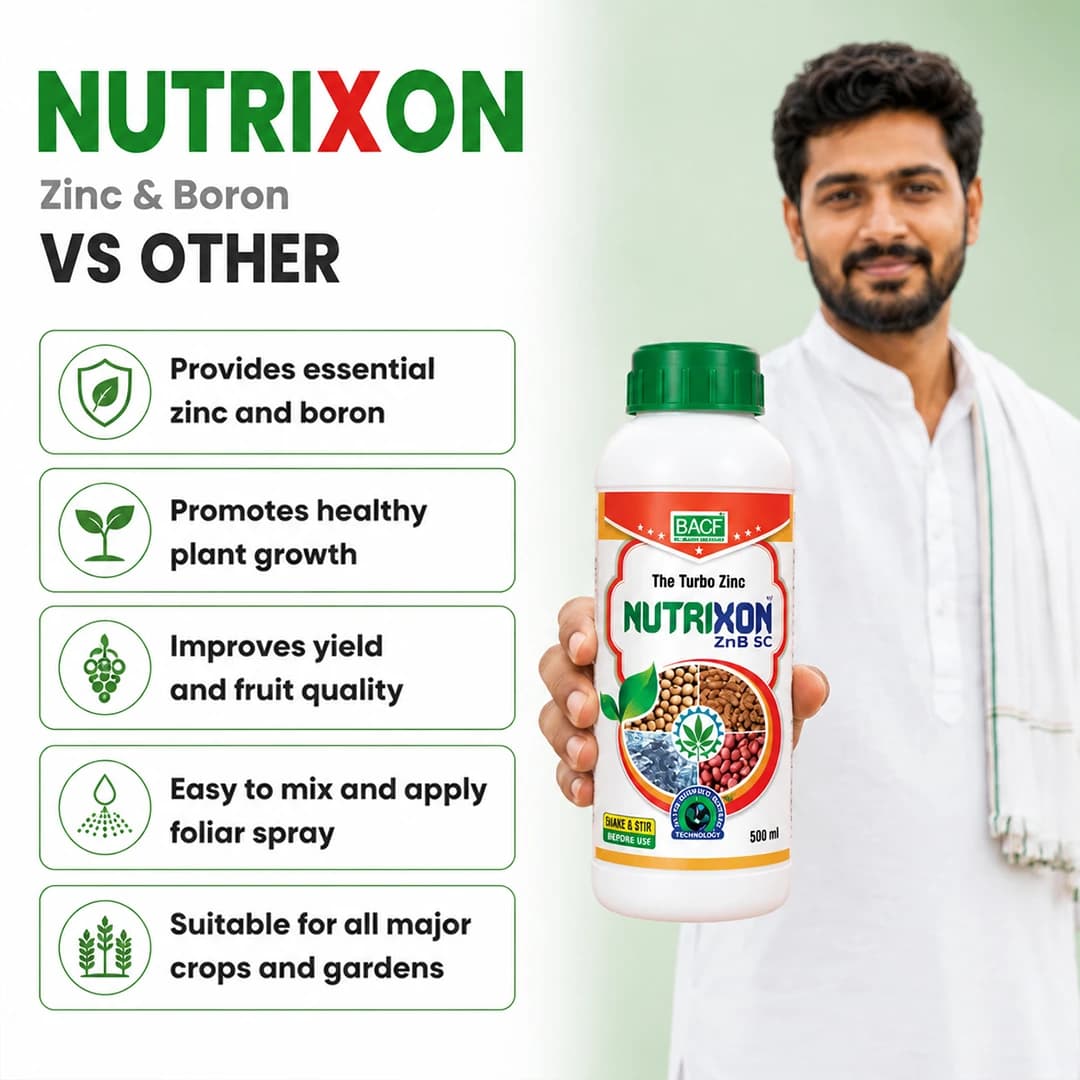 Bacf Nutrixon ZnB SC (Zinc Oxide 39.5% SC) for Zinc Deficiency & Crop Yield - Image 6