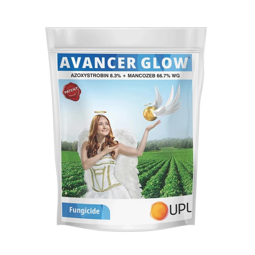 UPL Avancer Glow Azoxystrobin 8.3% + Mancozeb 66.7% WG, Specially For Chilli And Grape.