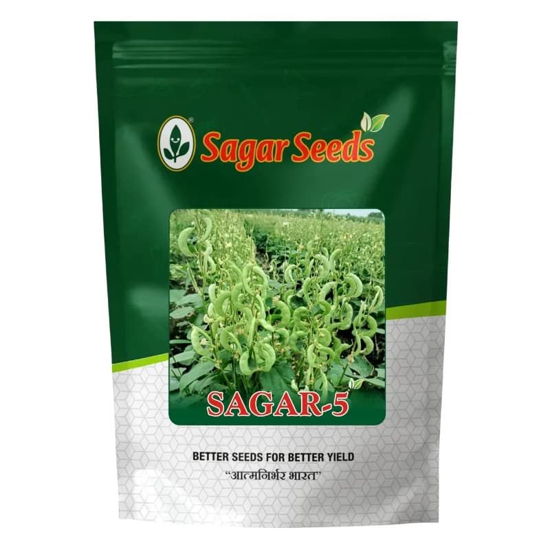 Sagar-5 F1 Hybrid Indian Bean Seeds, High Yield And Bushy, Ideal For Kharif And Summer