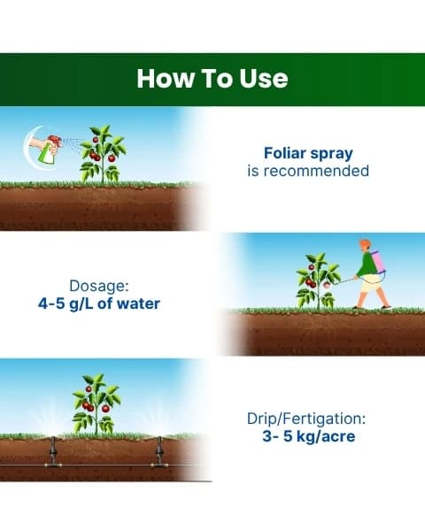 Katyayani Npk 12:61:00 Fertilizer, High-Performance Nutrient Solution For Enhanced Plant Growth and Development - Image 4