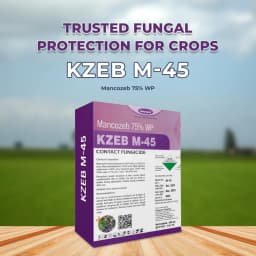 कात्यायनी केजेब एम-45 मैंकोज़ेब 75% डब्लूपी संपर्क फफूंदनाशक, कृषि पौधों और घरेलू बग़ीचे में सभी फफूंद संक्रमणों और धान के बिसवां का प्रभावी नियंत्रण 2