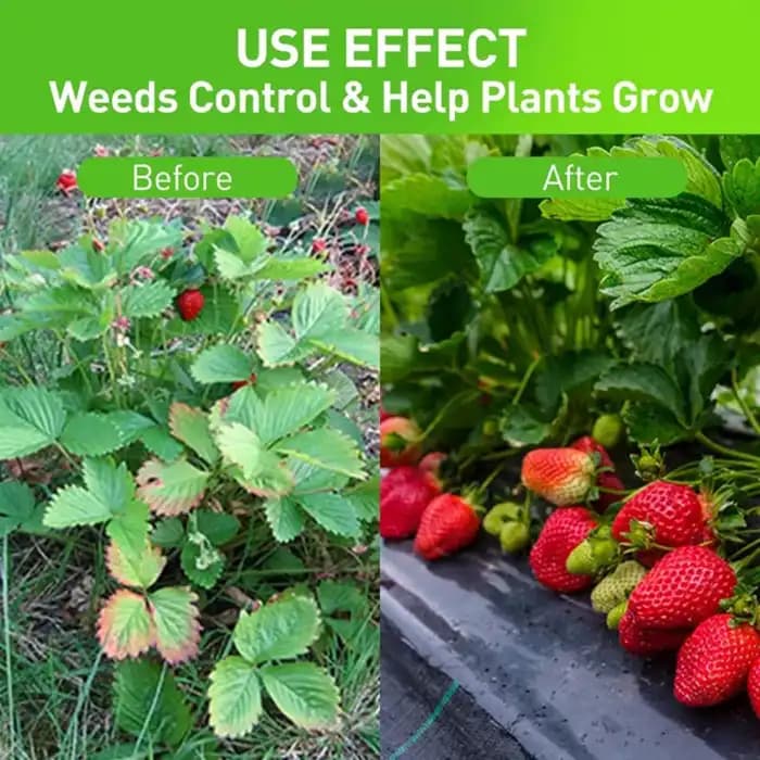 Singhal 110 GSM Weed Barrier Sheet, Landscape Fabric, Heavy Duty, Weed Block Gardening Mat For Gardens (Black) - Image 10