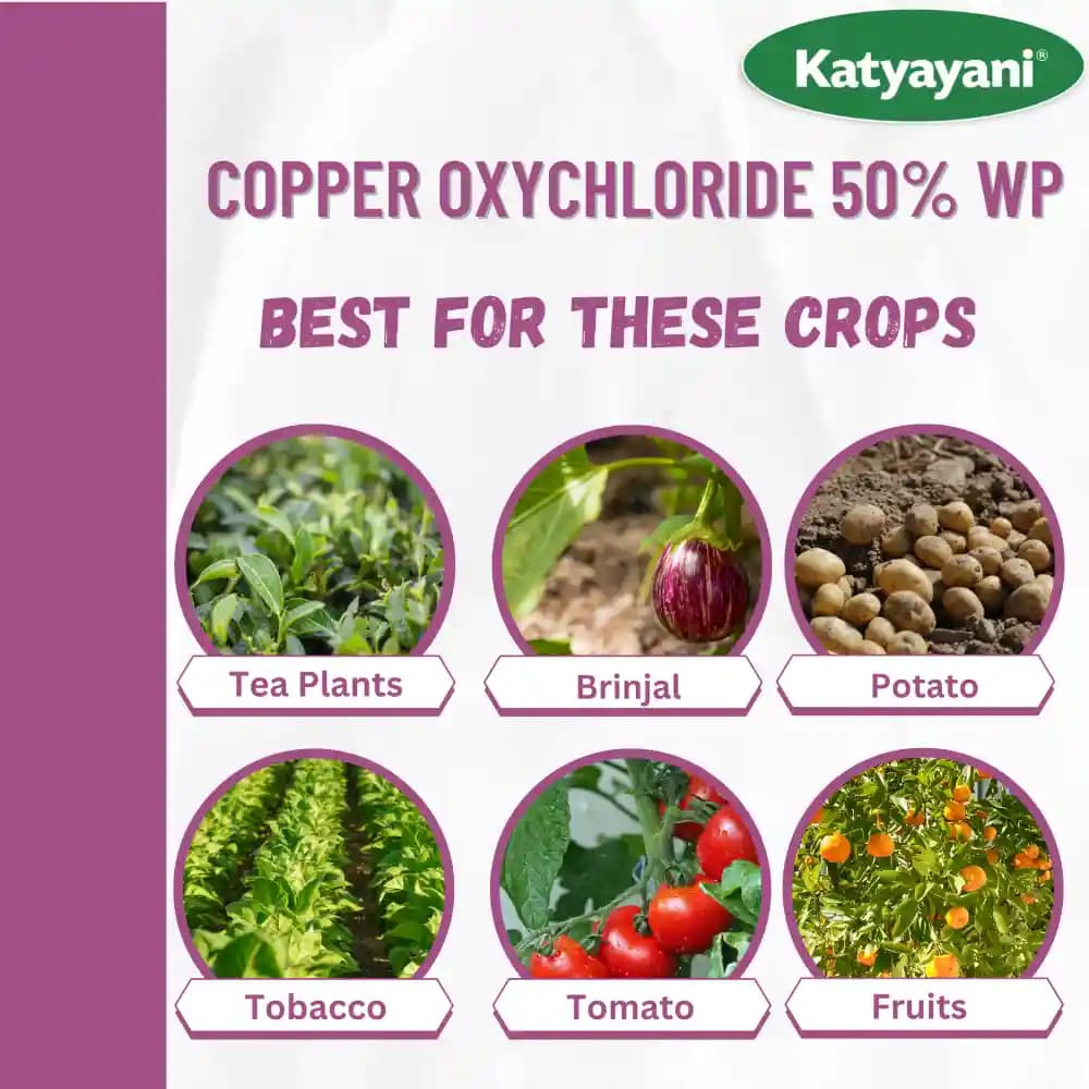 Katyayani COC 50 Copper Oxychloride 50% WP Fungicide, Effective Control Of Wide Range Of Fungal Diseases - Image 9