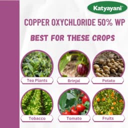 Katyayani COC 50 Copper Oxychloride 50% WP Fungicide, Effective Control Of Wide Range Of Fungal Diseases 9