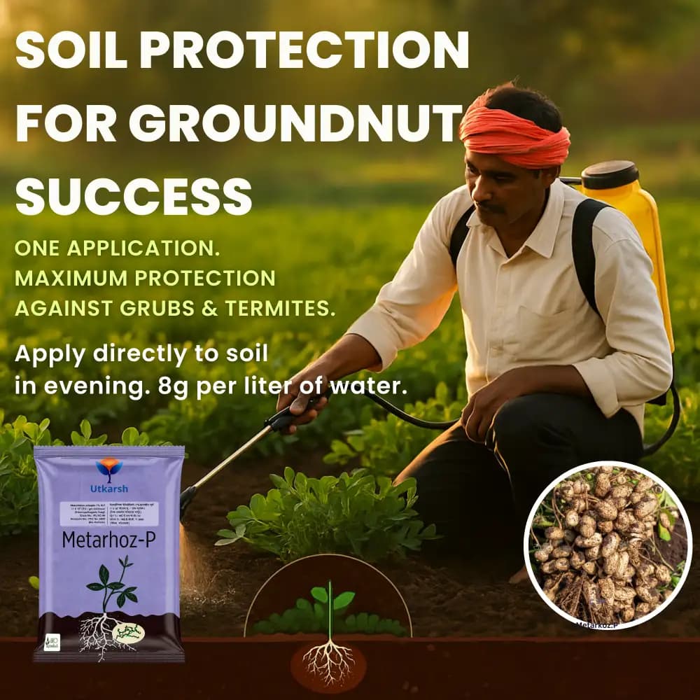 Utkarsh Metarhoz-P (Metarhizium Anisopliae 1% W.P.) Bio Pesticide, Controls Effective Pests and Improves Soil & Crop Health - Image 7