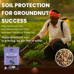 Utkarsh Metarhoz-P (Metarhizium Anisopliae 1% W.P.) Bio Pesticide, Controls Effective Pests and Improves Soil & Crop Health 7