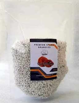 Shroomness Premium Spawn Granules, Reishi Mushroom Seeds, Mushrom Spawn Seed 2