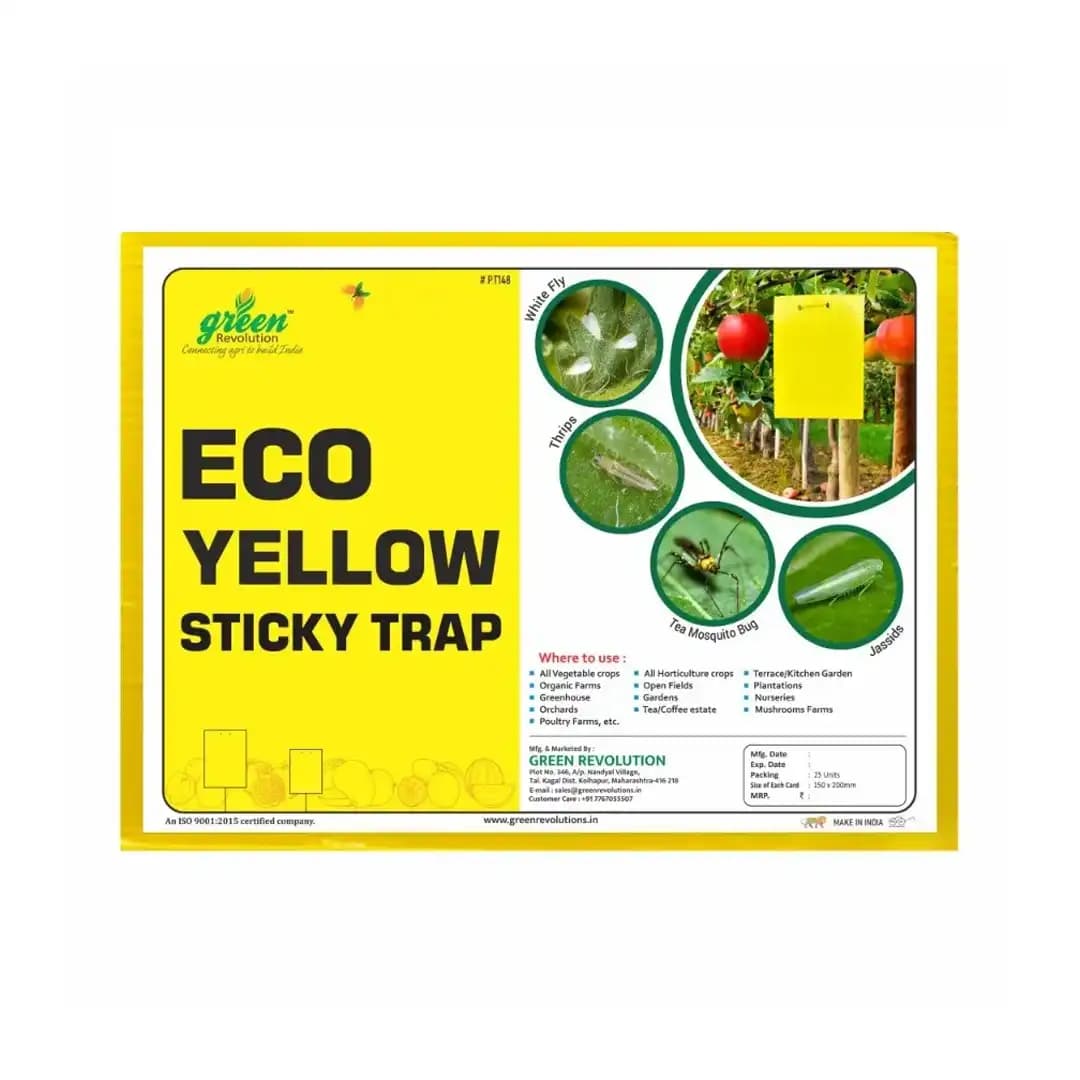 Green Revolution A5 Size Blue Sticky Traps - 150 mm x 200 mm - Image 2