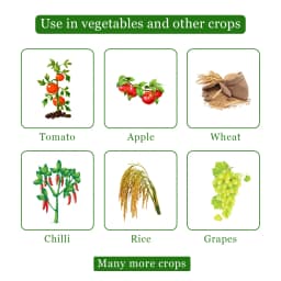 Bayer Buonos - Tebuconazole 38.9%, Systemic Fungicide, For Control Of Leaf Spot Disease And Powdery Mildew 4