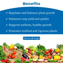 Lihoguard Chlormequat Chloride 50% SL, Widely Used In Agriculture For Boosting The Crop Yields. 4