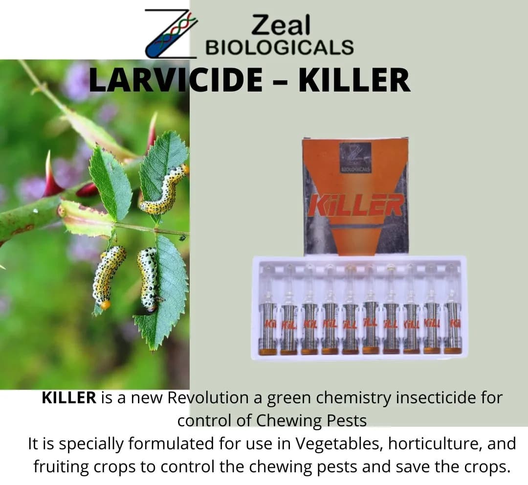 Zeal Killer Insecticide - Image 3
