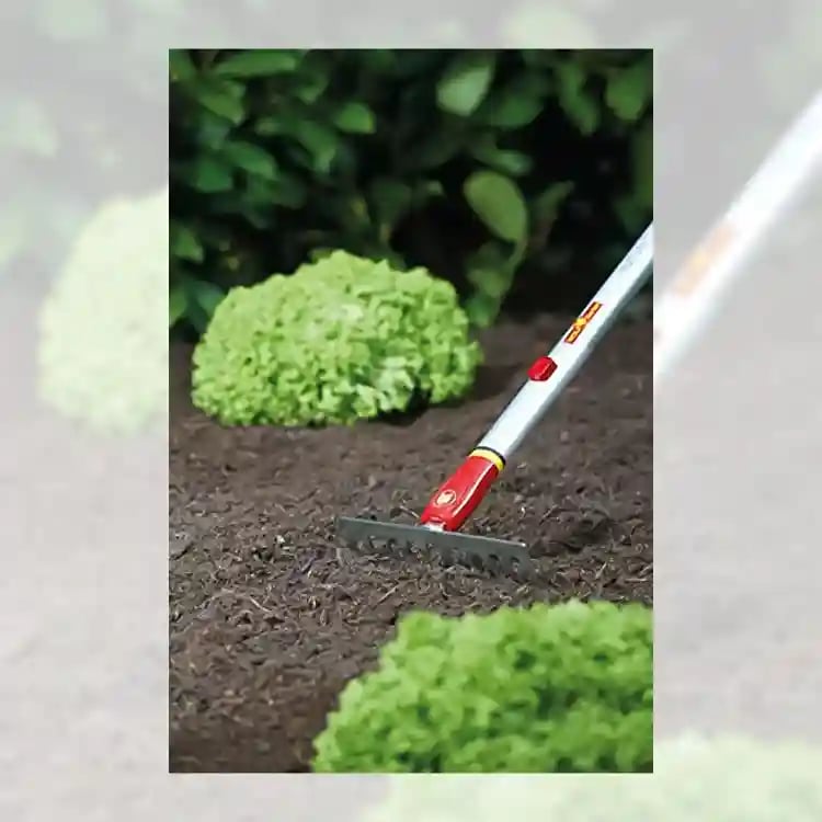 Wolf Garten Small Rake (DS-M 19) 19cm, Good Use For Home Garden, Small Farms