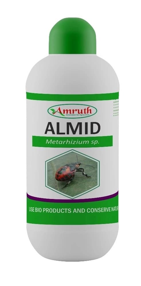 Amruth ALMID (Metarhizium Anisopliae) Biological Insecticide, Best For Leafhoppers, Root Grubs, Cutworms, Termites etc., - Image 1