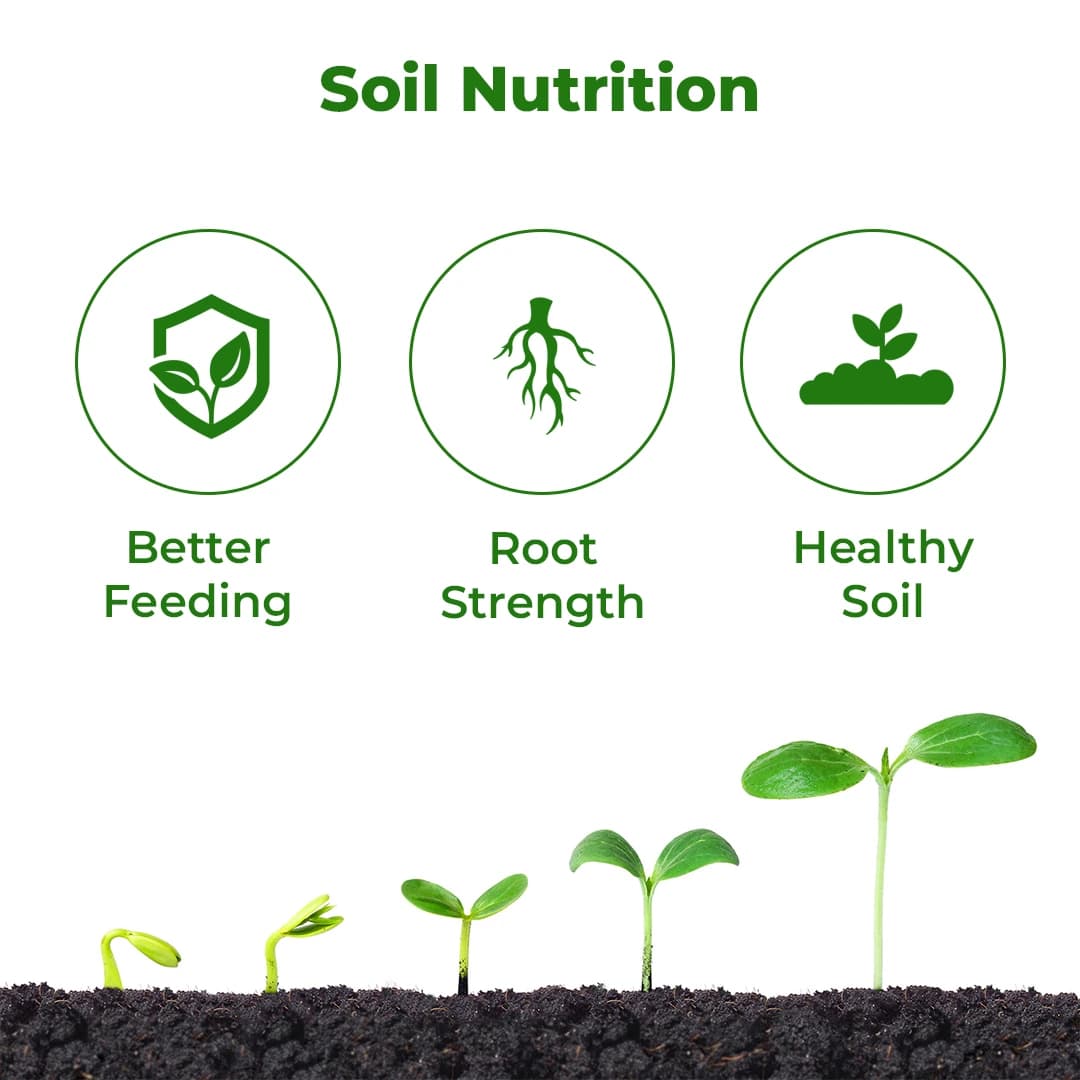 HEDO NPK Consortia (Bacteria) Liquid Bio Fertilizer For Agriculture, Garden, Soil Fertility And Plant Nutrition. - Image 3