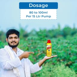 Dhanuka Noweed Glyphosate 41% SL Herbicide, Non-Selective, Complete Weed Control 5