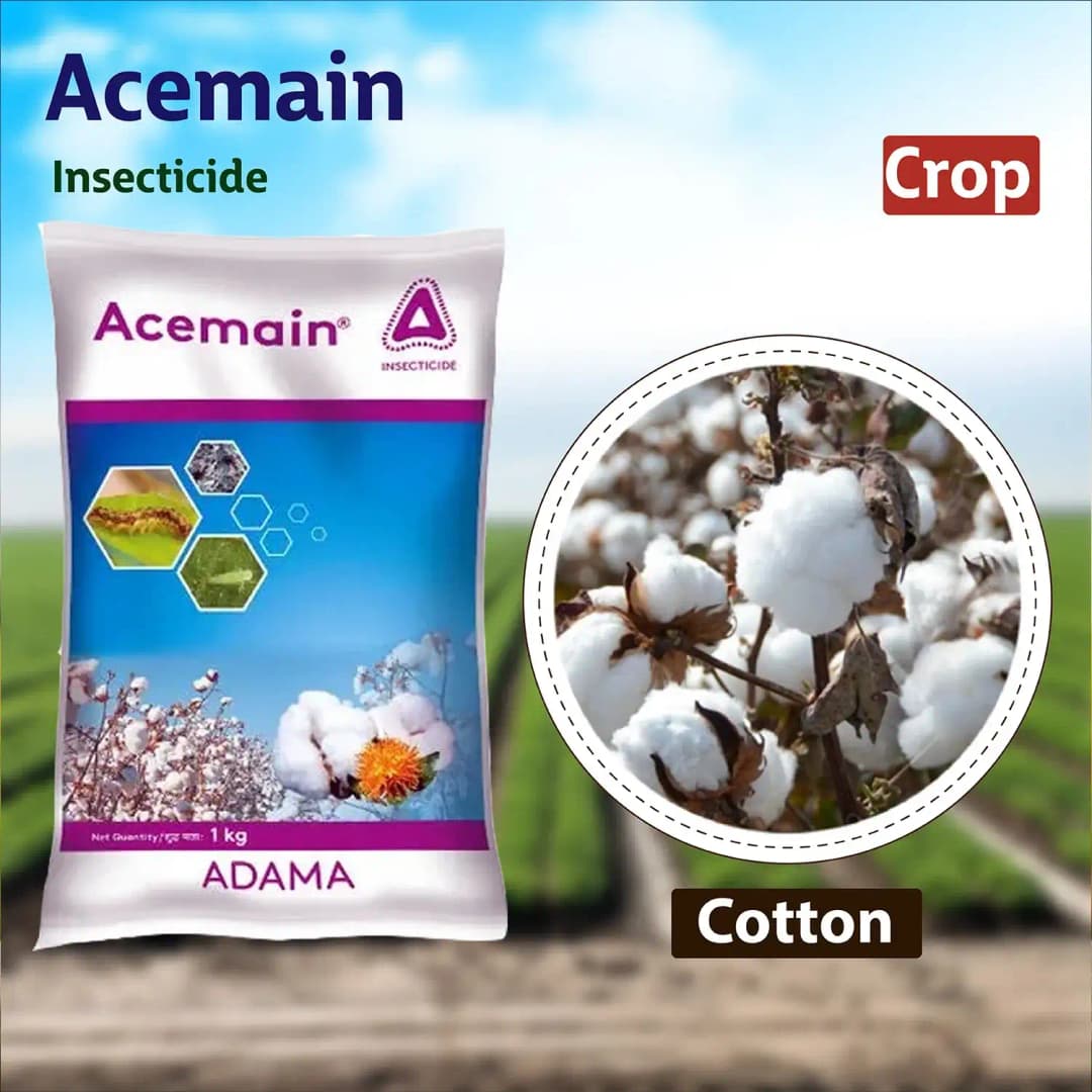 Adama Acemain Acephate 75% SP, For Effective Control Of Wide Range Of Chewing And Sucking Pest - Image 7