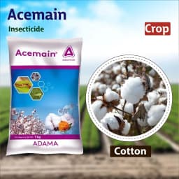 Adama Acemain Acephate 75% SP, For Effective Control Of Wide Range Of Chewing And Sucking Pest 7