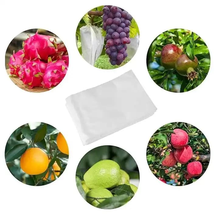 Radhe Non-Woven Fruit Protection Drawstring Bags 6.5 x 9 Inch, For Vegetables, Fruits, and Plants - Image 10