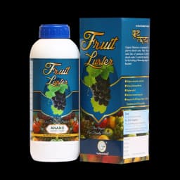 Anand Fruit Luster (High Quality Organic Potash In Luster Form), Extends Shelf Life And Keeps Quality Of Produce. 2