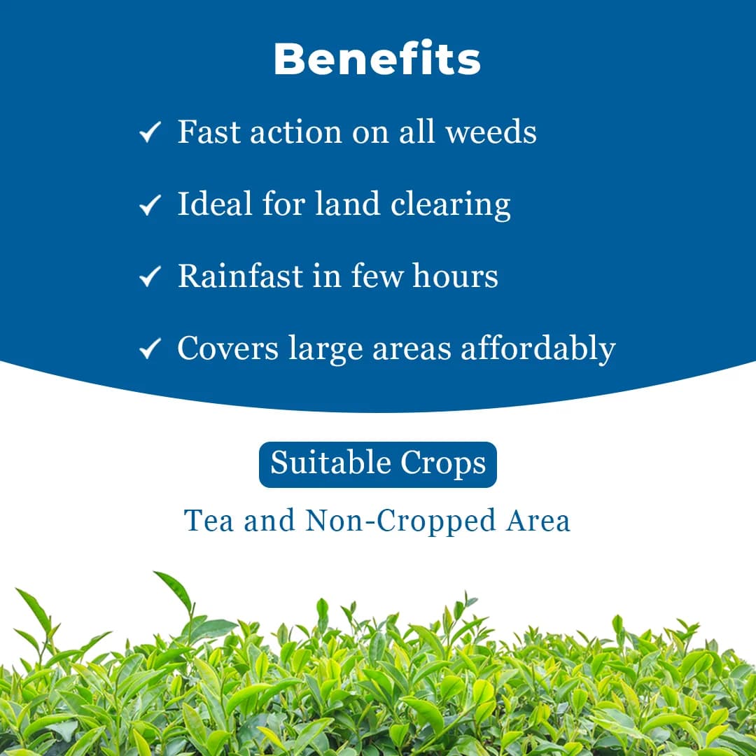 जेयू ग्लाइफो-71, ग्लाइफोसेट 71% एसजी, गैर-चयनात्मक खरपतवारनाशक, चाय और गैर-फसल क्षेत्रों में विभिन्न प्रकार के खरपतवारों के नियंत्रण के लिए - Image 4