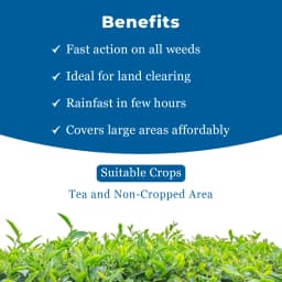 जेयू ग्लाइफो-71, ग्लाइफोसेट 71% एसजी, गैर-चयनात्मक खरपतवारनाशक, चाय और गैर-फसल क्षेत्रों में विभिन्न प्रकार के खरपतवारों के नियंत्रण के लिए 4