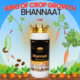 Katyayani Bhannaat Biostimulant Plant Growth Promoter, Increases Plant Resistance 2