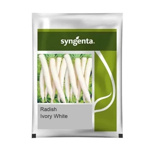 Syngenta Ivory White Radish Seeds