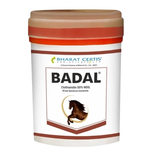 Bharat Certis BADAL Clothianidin 50% WDG Insecticide, Effective For White Grub, Termite & Sucking Pests In Cotton And Paddy Crops