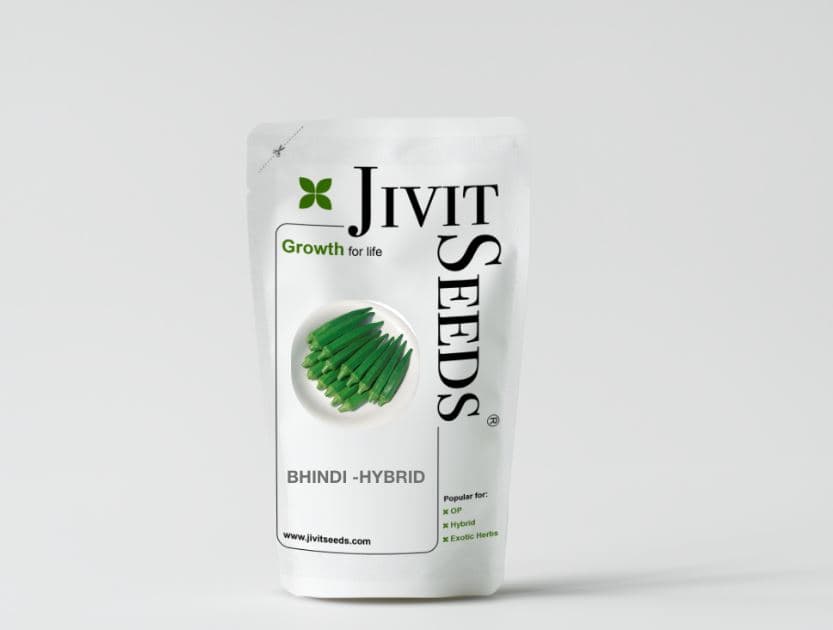 Jivit F1 Hybrid Bhindi JS 300 Seeds. Dark Green Tender Fruits with Excellent Shelf Life. - Image 2