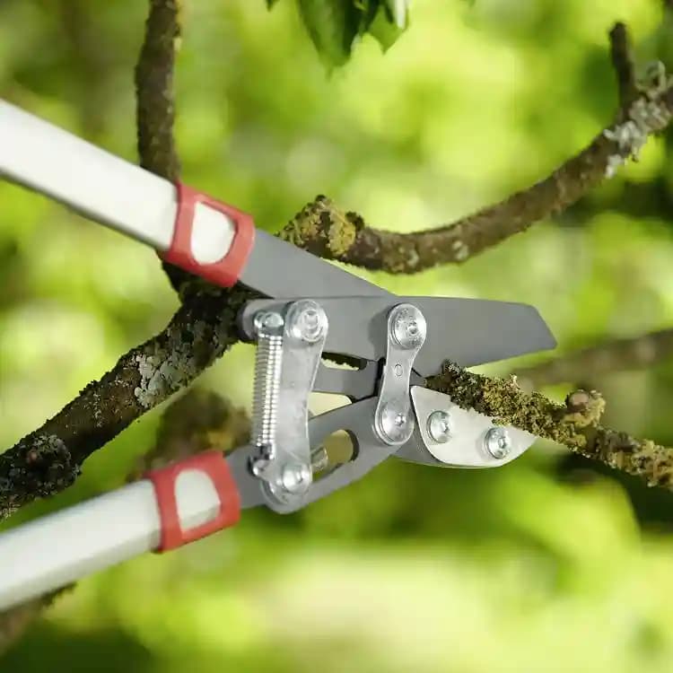 Wolf Garten Power Cut Aluminium Anvil Lopper Two Different Cutting Modes (RS 800), Cutting Diameter 50 mm - Image 2