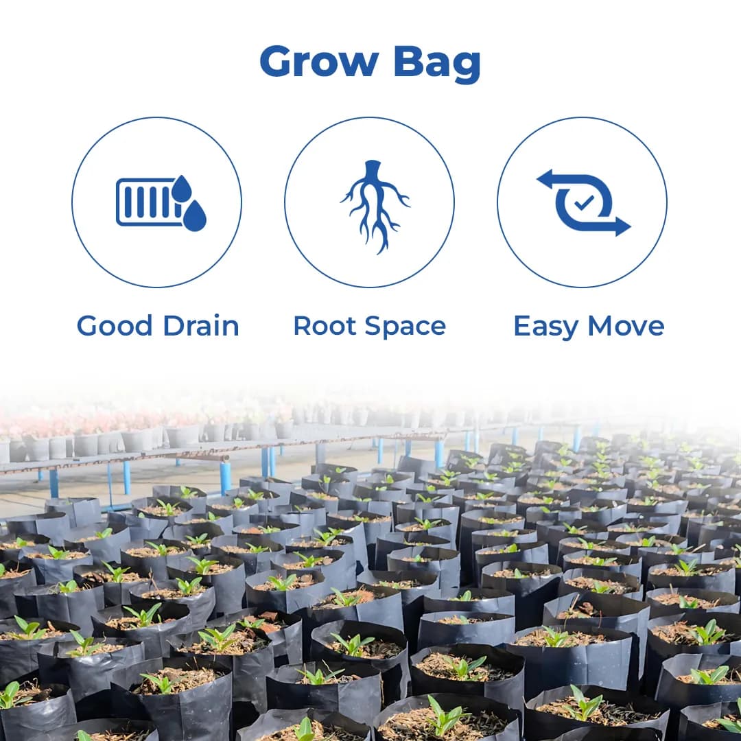 Siddhi Plant Nursery Bags, Grow Bag, 100% UV Protected, Long life durability - Image 3