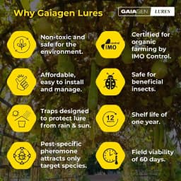 Gaiagen Pheromone Lure For Melon Fly (Bactrocera Cucurbitae) And Insect Fly Trap, IMO Certified. 4