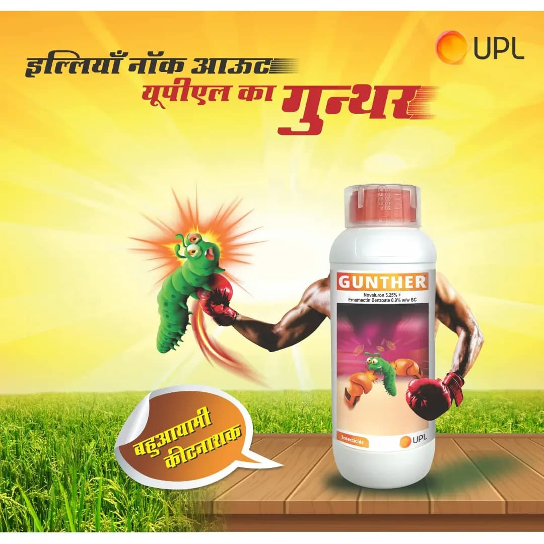 UPL Gunther Insecticide - Image 6
