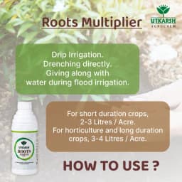 Utkarsh Roots Multiplier For Quick Growth and Development of Feeding Roots 4